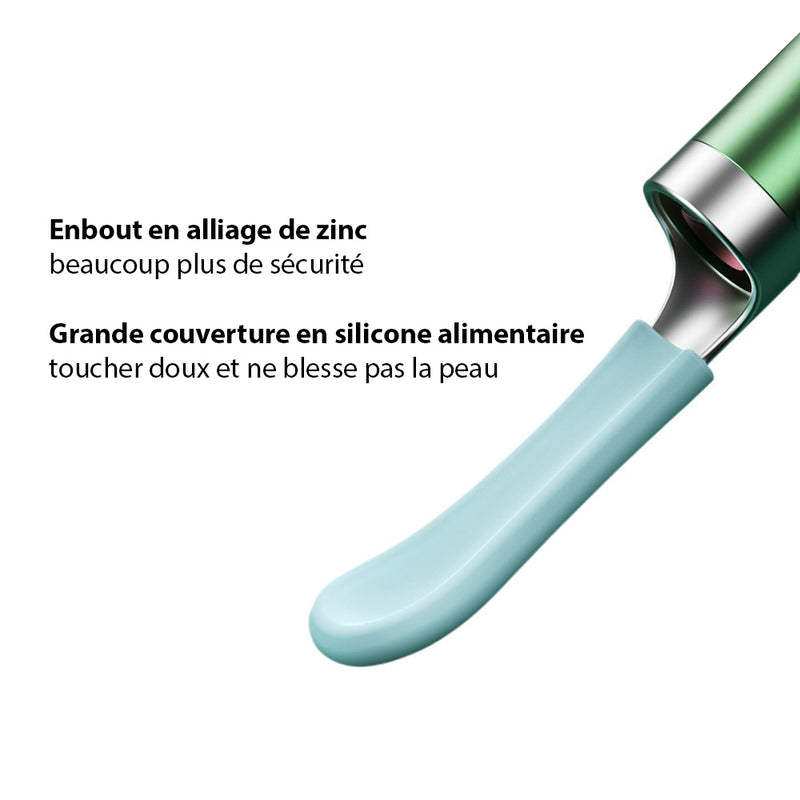 Nettoyeur d'oreille électronique avec caméra endoscopique intégrée - Livraison Offerte