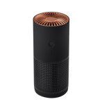 Purificateur d'air portable